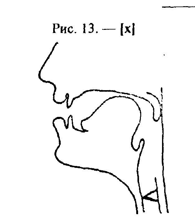 Артикуляционный уклад звука г к х. Артикуляционный профиль звуков при ринолалии. Артикуляционный уклад звука с для детей. Артикуляция звука х в логопедии. Артикуляция г