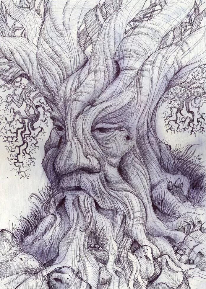 Картинки лицо дерево. Образ дерева в графике. Фантастическое дерево карандашом. Сказочное дерево карандашом. Фантастическое дерево рисунок.