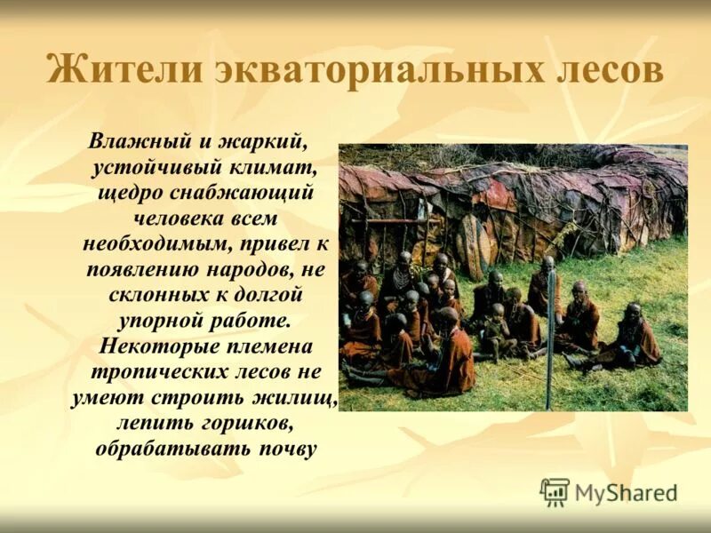 население африки пигмеи. хозяйственная деятельность человека в экваториальных лесах. хижина пигмеев. влажные экваториальные леса хозяйственная деятельность человека. деятельность человека в африке.