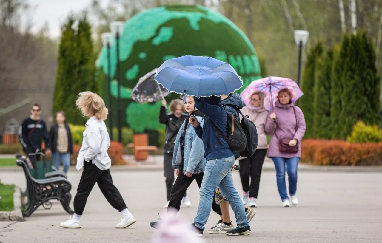 Дождливая погода. День метеоролога. Понедельник день дождливый. Ветера Тула.