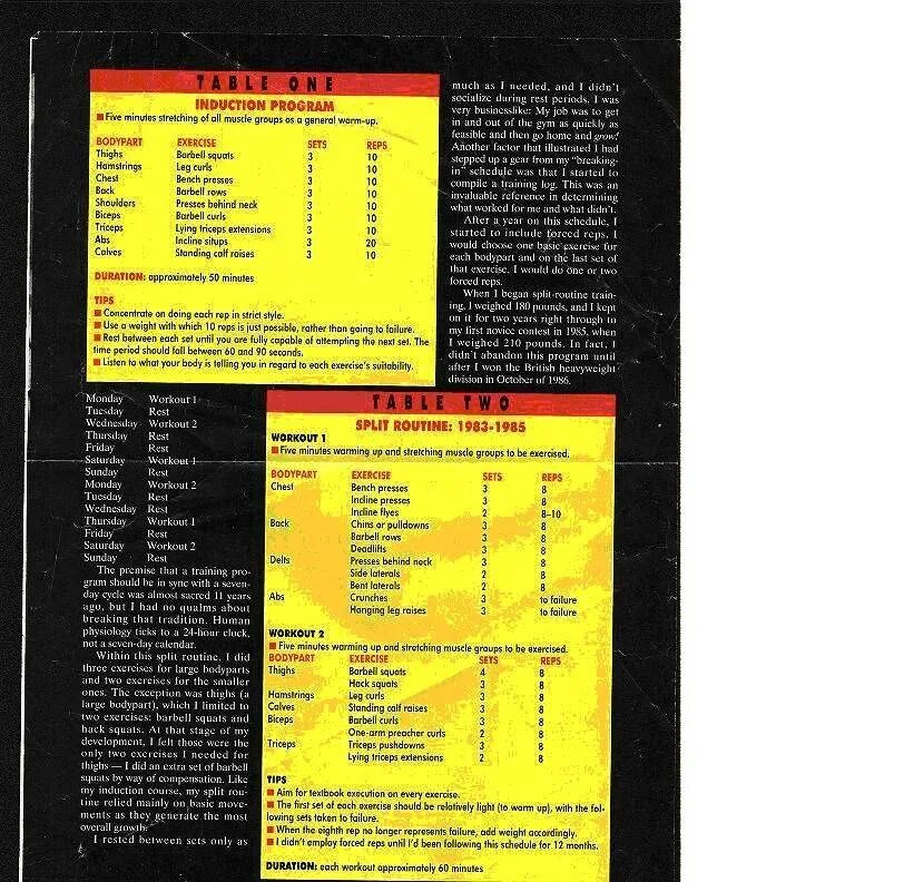 Дневник тренировок дориана ятса. Дориан йейтс. Дориан йейтс программа тренировок. Тренировочная система дориана ятса. Тренировка дельт дориан ятс.