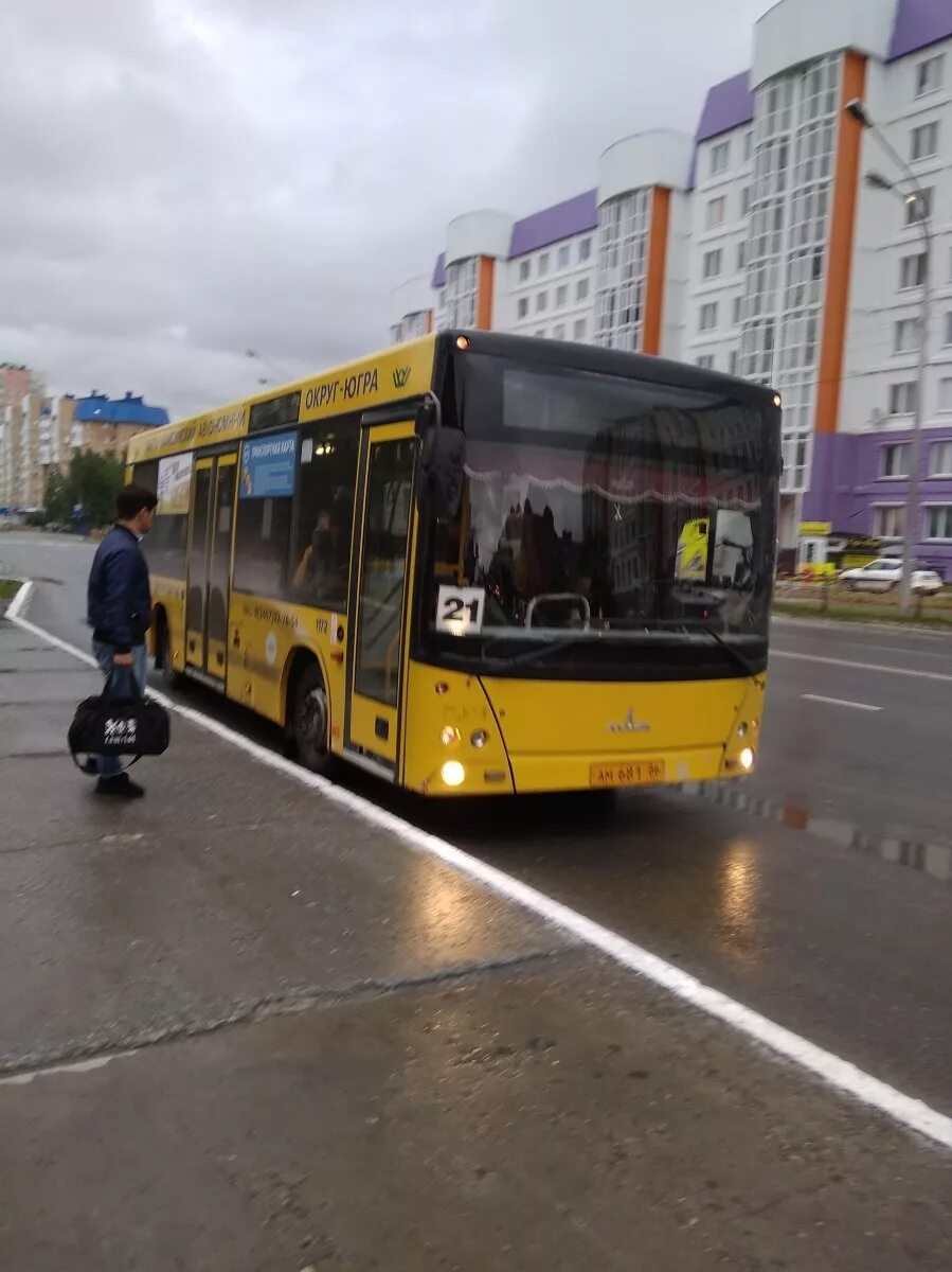 Автобус 21 сегодня