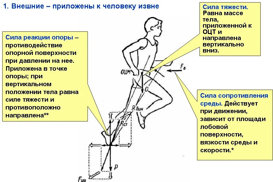 Механизм отталкивания от опоры биомеханика. Силы действующие на эчеловека. Действующие силы в биомеханике внутренние. Биомеханика движений человека. В какой стадии полета тело прыгуна