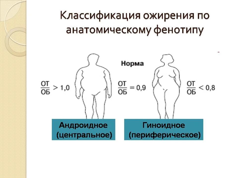 Абдоминальное ожирение что это