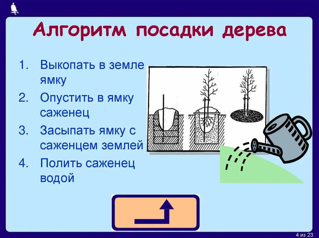 Алгоритм посадки дерева. Составить алгоритм посадки дерева. Линейный алгоритм посадки дерева. Алгоритм посади дерево. Расставьте действия в нужном порядке алгоритм