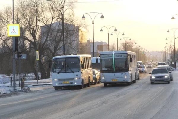 Бренд тобольский транспорт. Где автобус тобольск. Лиаз 5256 тобольск. Тобольское патп лиаз. Где автобус тобольск.