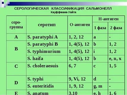 Сальмонелла группы д