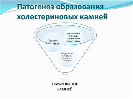 Механизмы развития образования