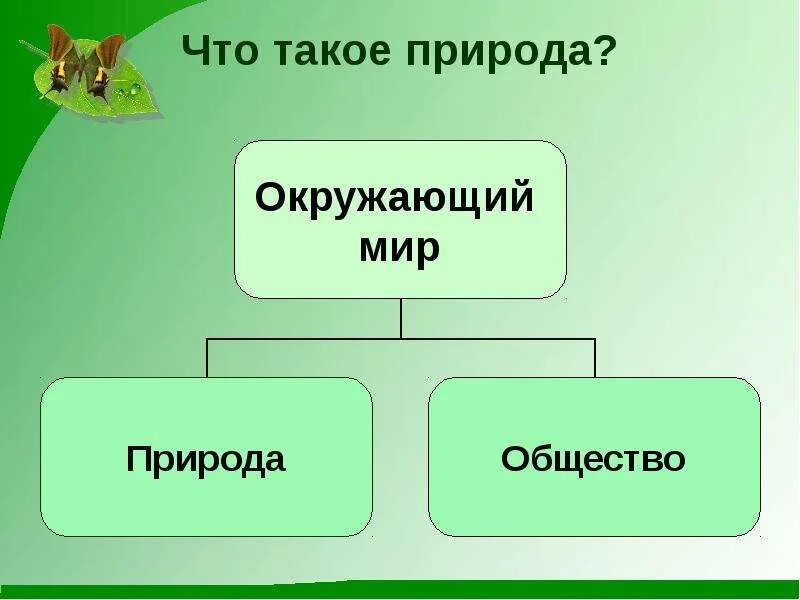 Общество и природа. Человек общество природа творческая работа. Общество и природа творческое задание. Творческая природа человека Обществознание.