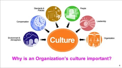 Your organization