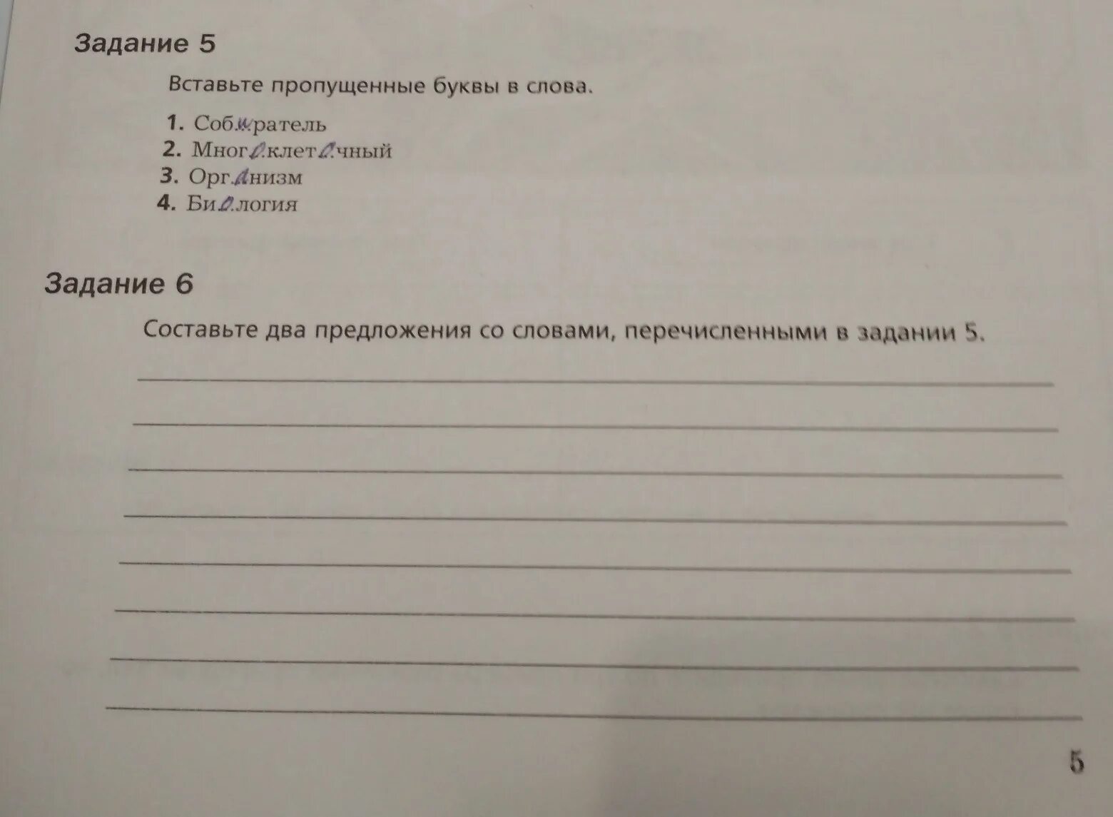 Предложение со словом собиратель. Составить предложение со словом собиратель. Два предложения со словом собиратель. Предложения со словом собиратель биология. Коллекционер текст