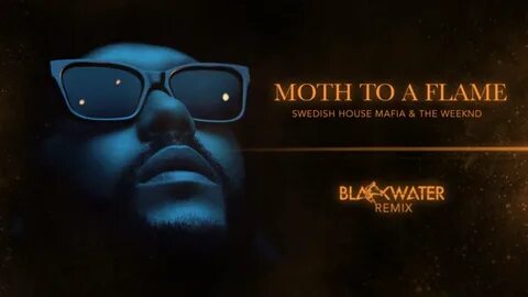 Moth to a flame