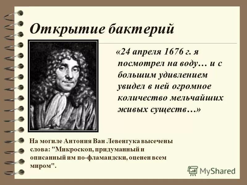 Оуи па тер открыл кисломолочные бактерии. Кто открыл микробы. Антони ван левенгук открыл микробов. Антонио ван левенгук его открытия. Кто открыл микробы.
