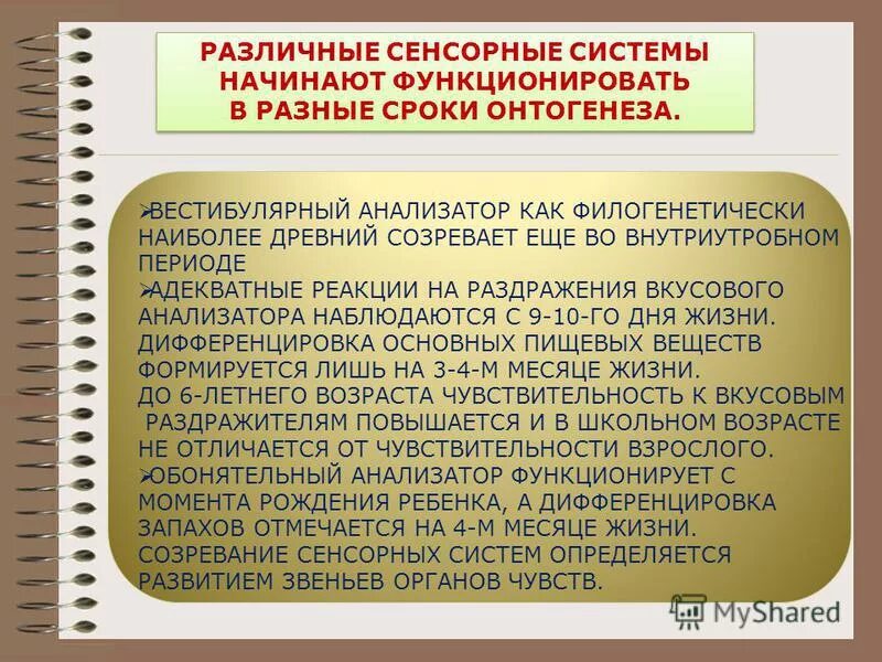 Возрастные изменения функций. Развитие анализаторов в онтогенезе. Онтогенез формирования сенсорных систем. Возрастные особенности вестибулярной системы у детей.