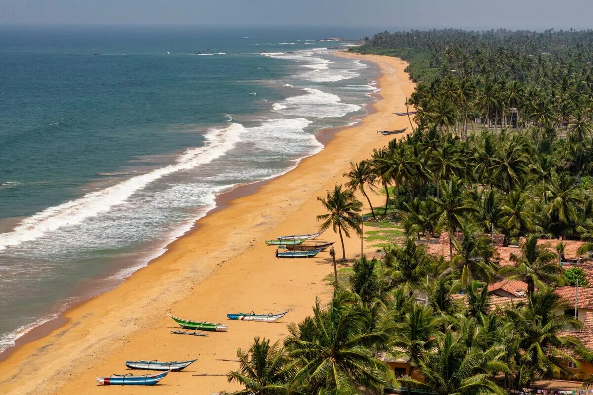 Сколько можно на шри ланке. Хиккадува Шри Ланка. Хиккадува Шри Ланка побережье. Хиккадува пляж. Шри Ланка отель Хиккадува.