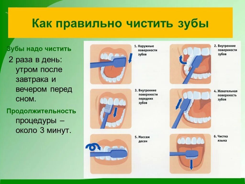 Насколько правильно. Как долго нужно чистить зубы. Сколько надо чистить зубы по времени. Алгоритм чистки зубов для детей. Сколько минут чистить зубы.