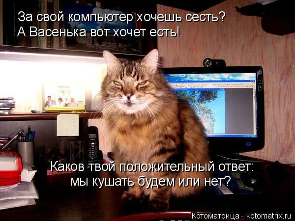 Мощный компьютер. Топ пк 60к. Acer predator pc desktop. Орущий кот за компьютером. Монитор acer predator g24oid.