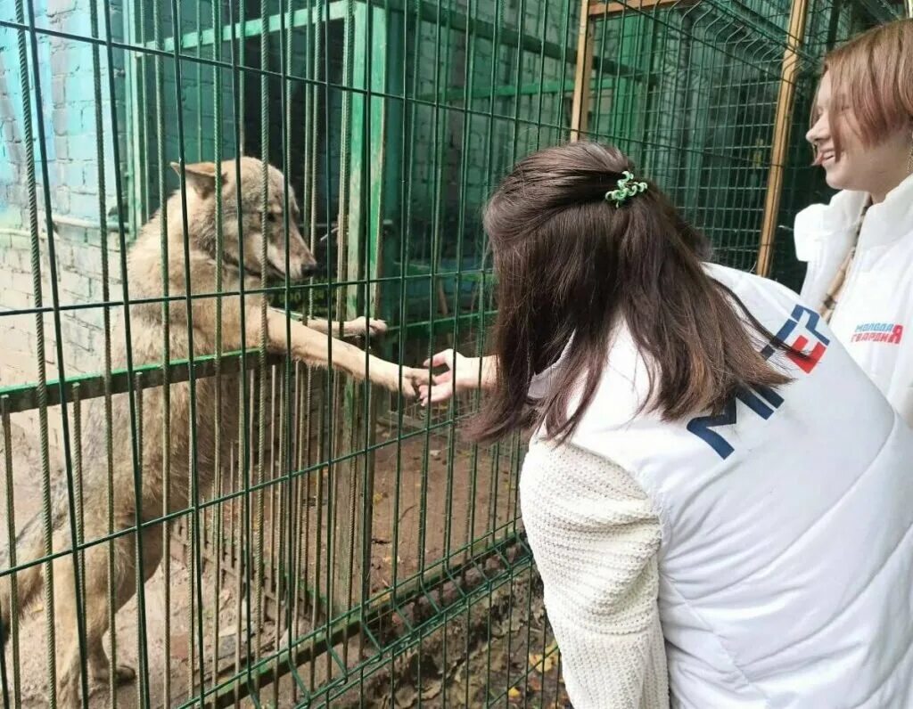 Приют для животных. Защита животных. Приют для животных верность Смоленск. Приют для животных Смоленск. Смоленск приют для животных верность