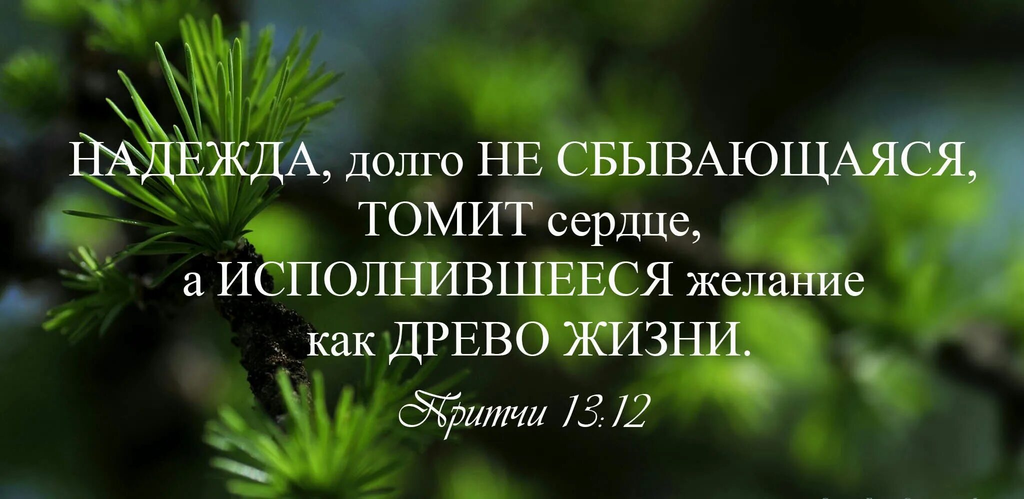 Надеюсь не долго. Притчи 13 :12. Любовь Божья излилась в сердца. Любовь Божия излилась в сердца наши духом святым данным нам.