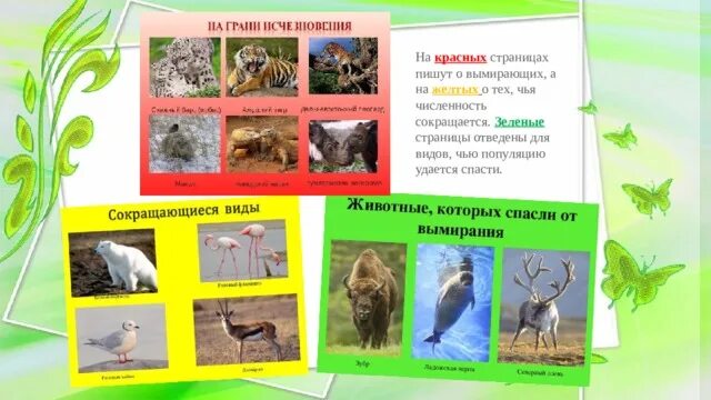 Проект про красную книгу зеленая страница Красная книга природы