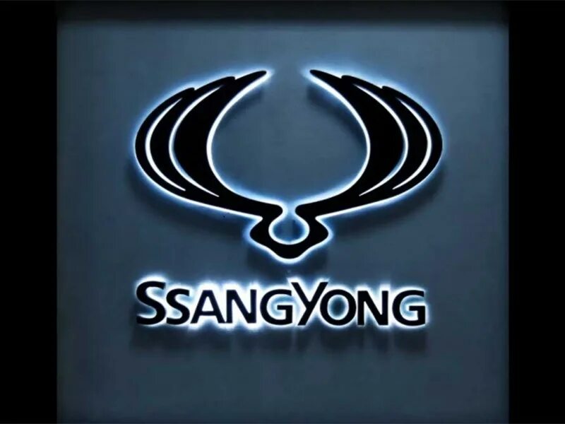 Значок саньенг. SSANGYONG значок SSANGYONG. Санг Йонг Актион эмблема. Значок Санг Йонг Actyon. Логотип Санг енг Кайрон.