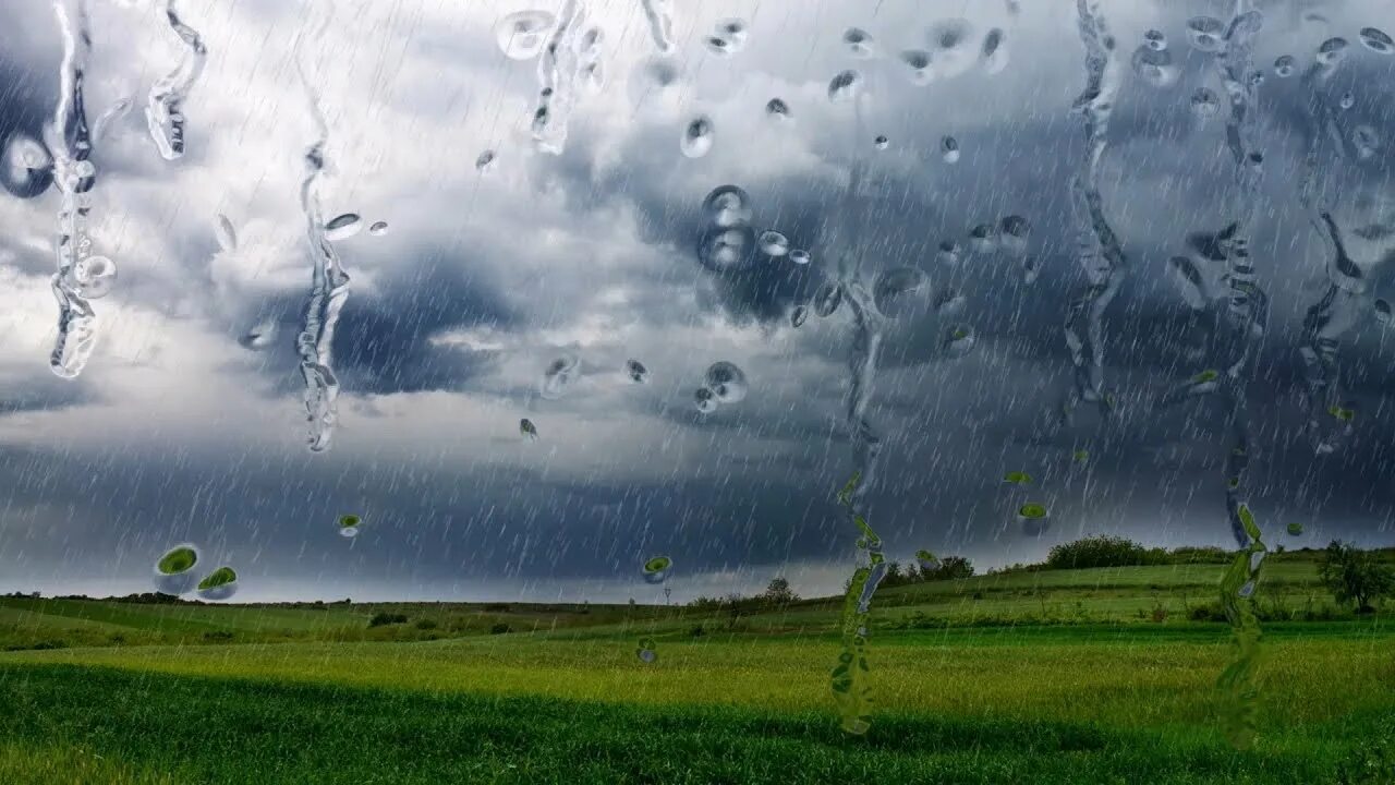 Дождь шумит. Звуки дождя/ ливня. Звук к дождик. Голос дождя. Звуки дождя песня