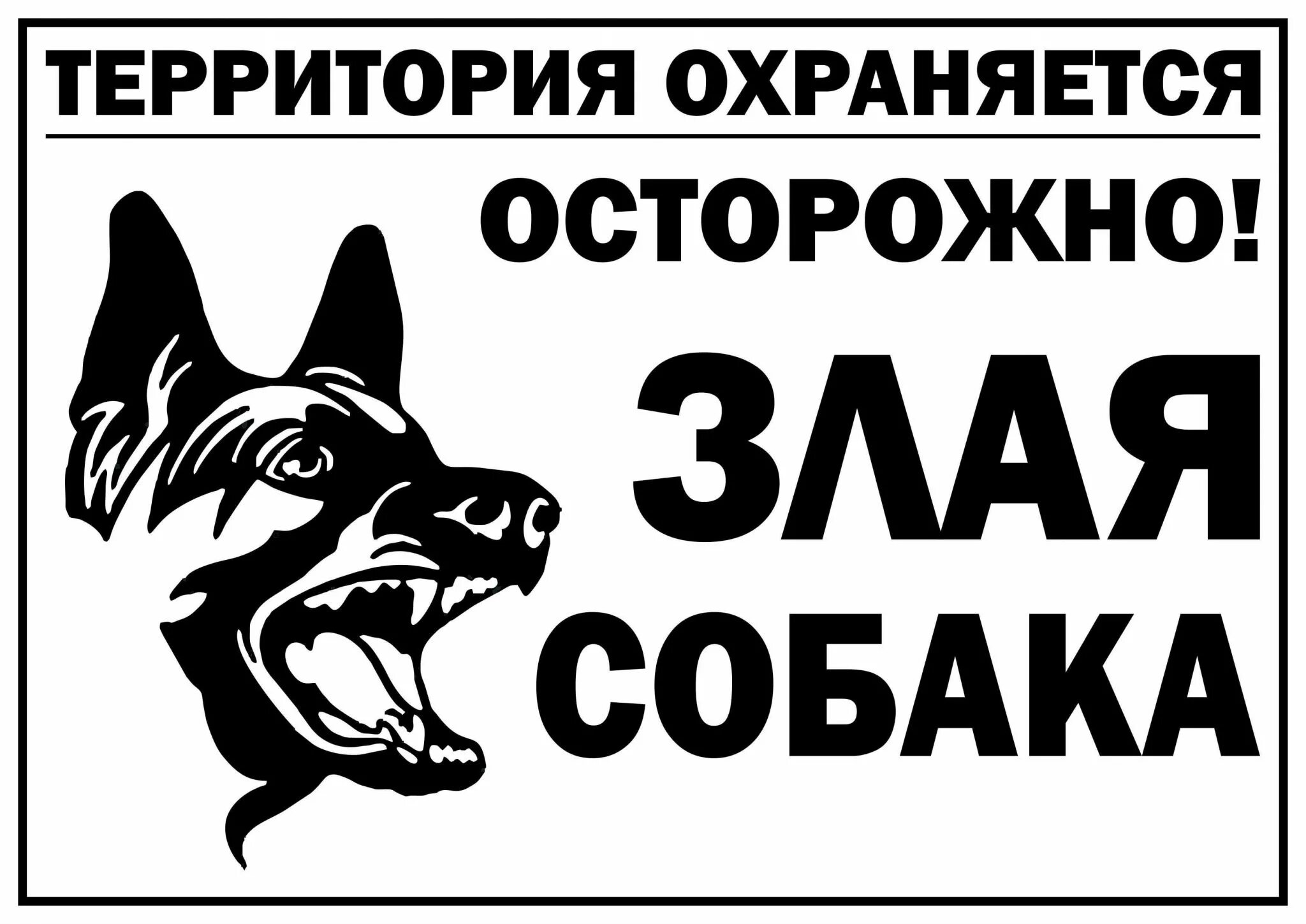 Табличка "злая собака". Осторожно, злая собака!. Надпись осторожно злая собака. Табличка осторожно злая собака прикольная. Злая собака что делать