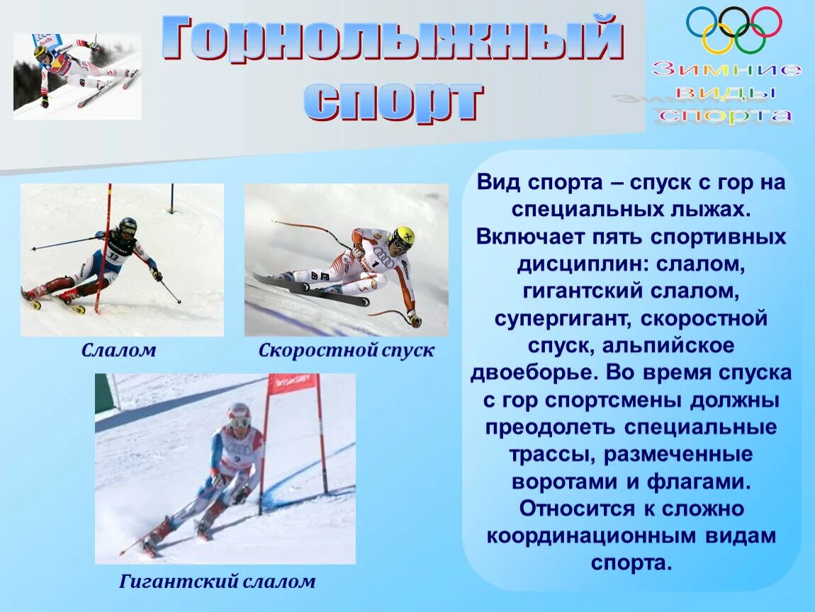Виды спорта. Виды спорта на лыжах. Зимние Олимпийские лыжные виды спорта.