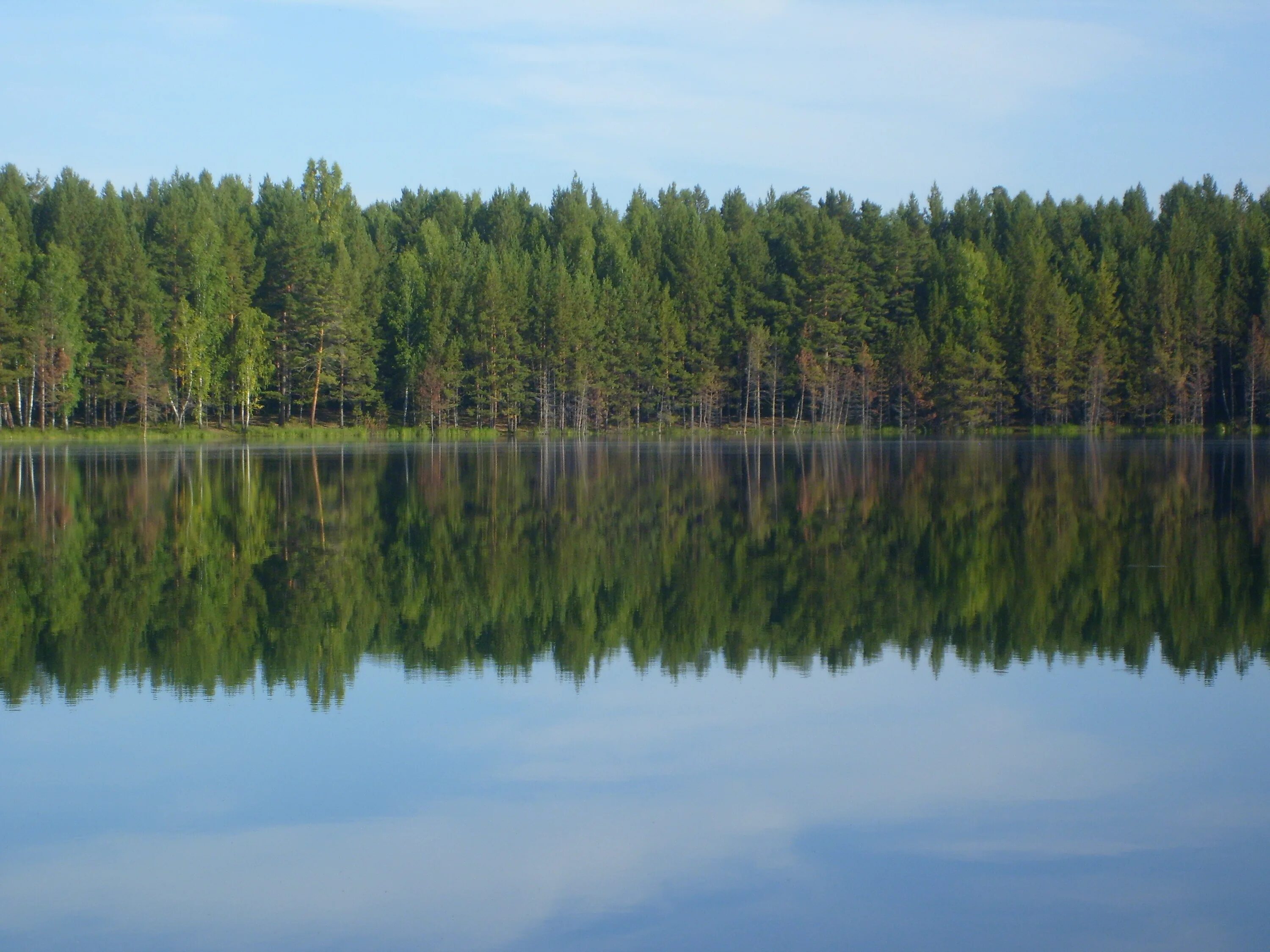 Луговая красноярский край