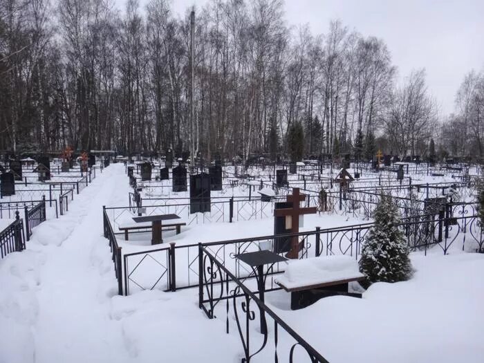 Кладбища наро фоминском районе. Петровское кладбище Алабино. Петровское кладбище Наро-Фоминский район. Покровское кладбище Наро-Фоминский. Покровское кладбище Московская область.