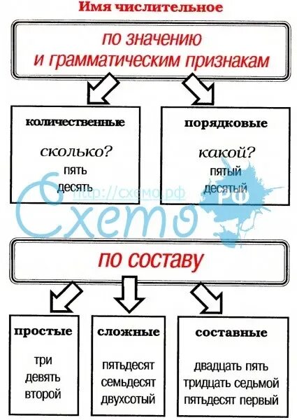 Двенадцать разряд и состав числительного. Числительное схема. Имя числительное схема. Имя числительное в русском языке. Классификация числительных.