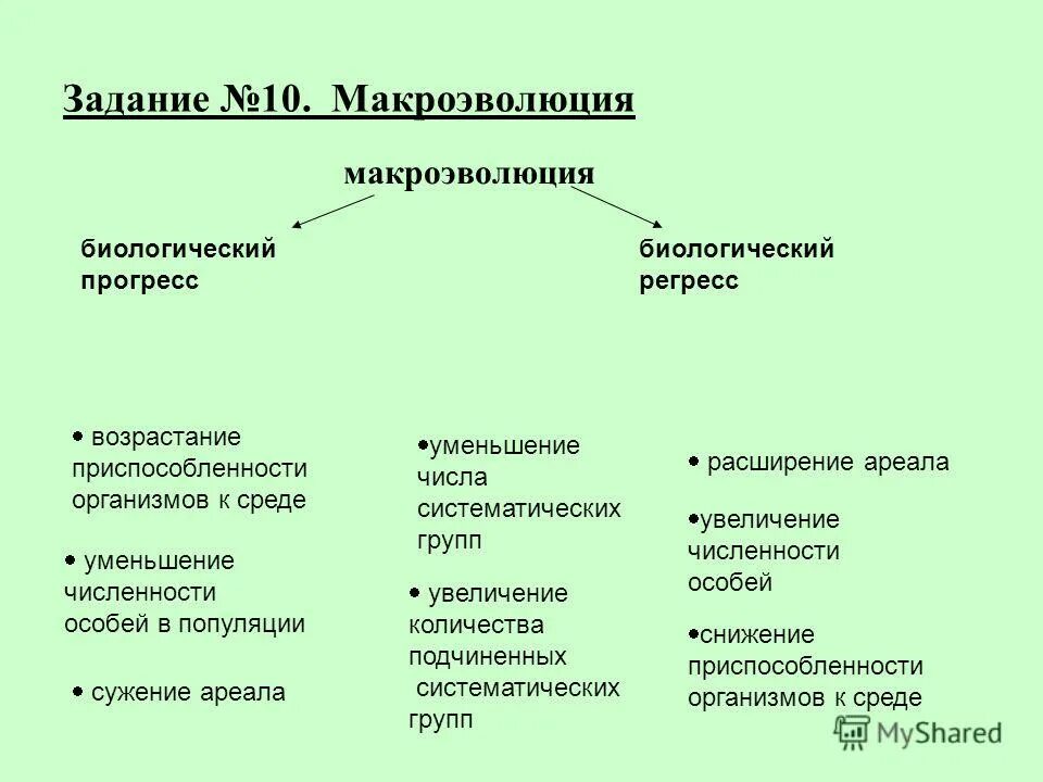 Приспособленность к среде биологический прогресс