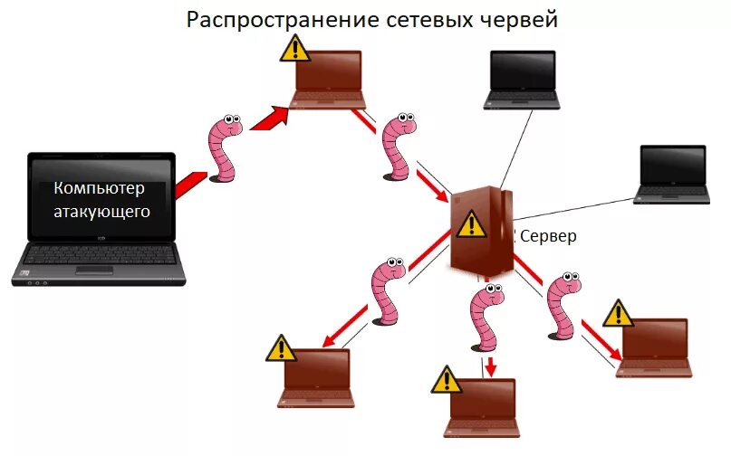 Какие есть типы компьютерных вирусов. Распространение сетевых червей. схема распространения компьютерных вирусов. сетевые черви способы распространения. способы распространения сетевых червей.