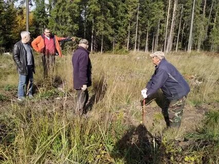 137 й квартал задельненского лесничества