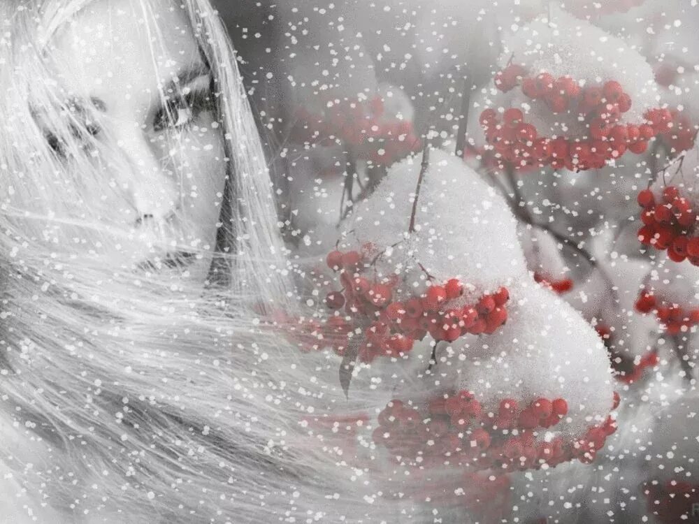 Женщина зима грусть. Зимнее счастье. Нежный снегопад. Падал белый снег и розы. Падал белый снег и розы.