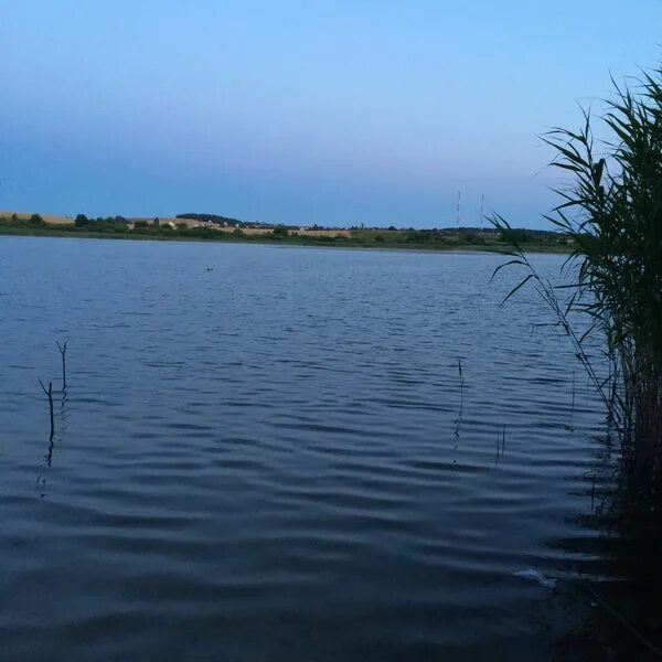 Петровичское водохранилище минск. Петровиче водохранилище. Петровичское водохранилище пляжи. Петровичское водохранилище минск. Водохранилище петровичское пляж минск фото.