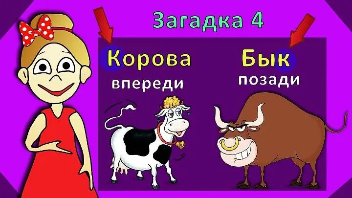 Что у коровы впереди а у быка