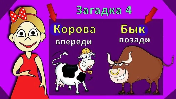 Что у коровы впереди у быка позади. Бабушка Шошо загадки для детей. Что у коровы впереди а у быка позади. Загадки на логику с ответами для детей. Загадки на логику от бабушки Шошо.