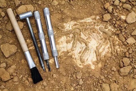 Archaeological dig
