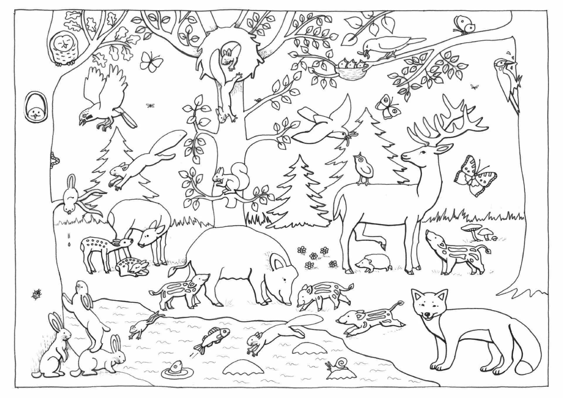 Раскраска Лесные животные. Лесные животные раскраска для детей. Лес раскраска для детей. Раскраска Дикие животные леса. Найди всех животных на картинке 165 уровень