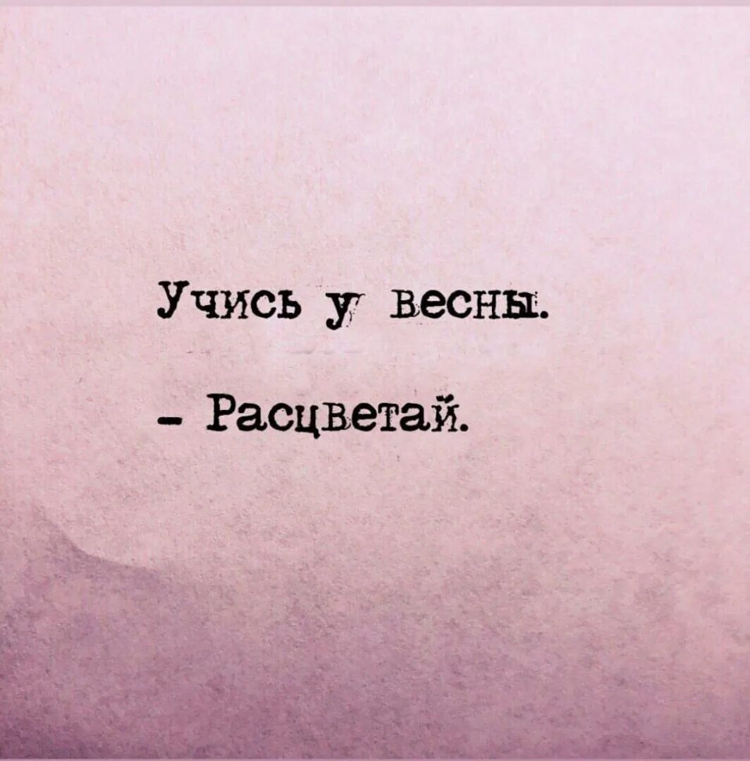 Цитаты без картинок