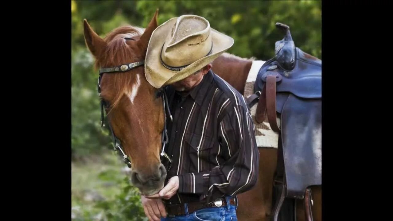 Ковбой наездник. Ковбой на коне. Ковбой родео. Ковбойская лошадь. Cowboy horse.
