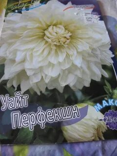 Как подготовить георгины к весне