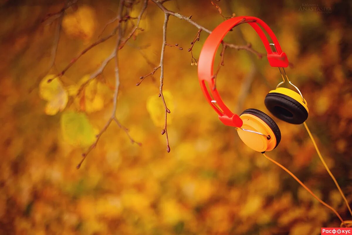 Наушники фон. Листочек на наушники. Наушники на красивом фоне. Наушники на красивом фоне. Настроение осень.
