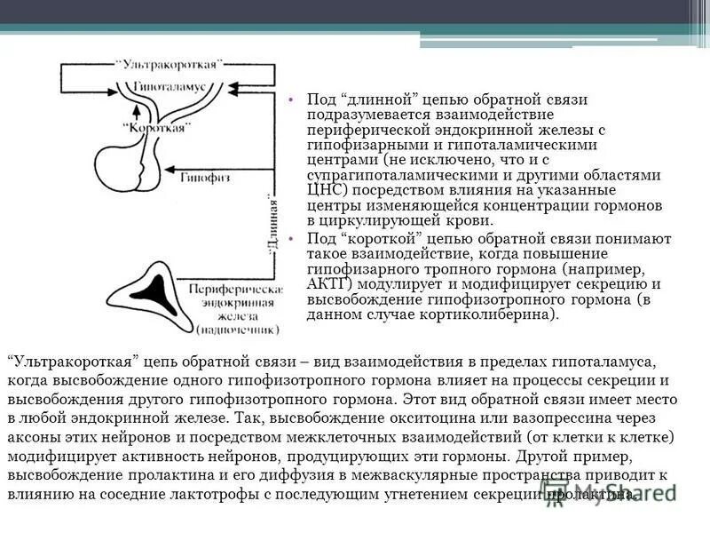 Печень выделяет гормоны