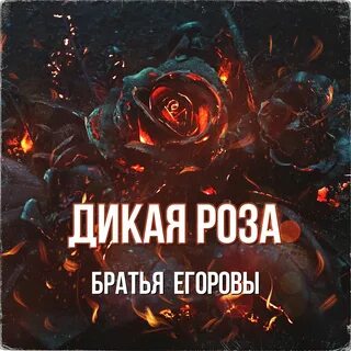 Братья егоровы песни