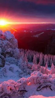 Сияние красоты
