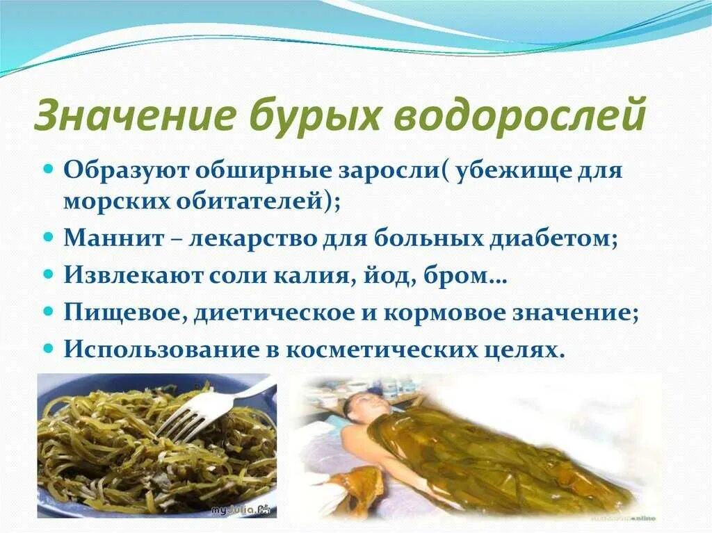 Бурая водоросль в жизни человека