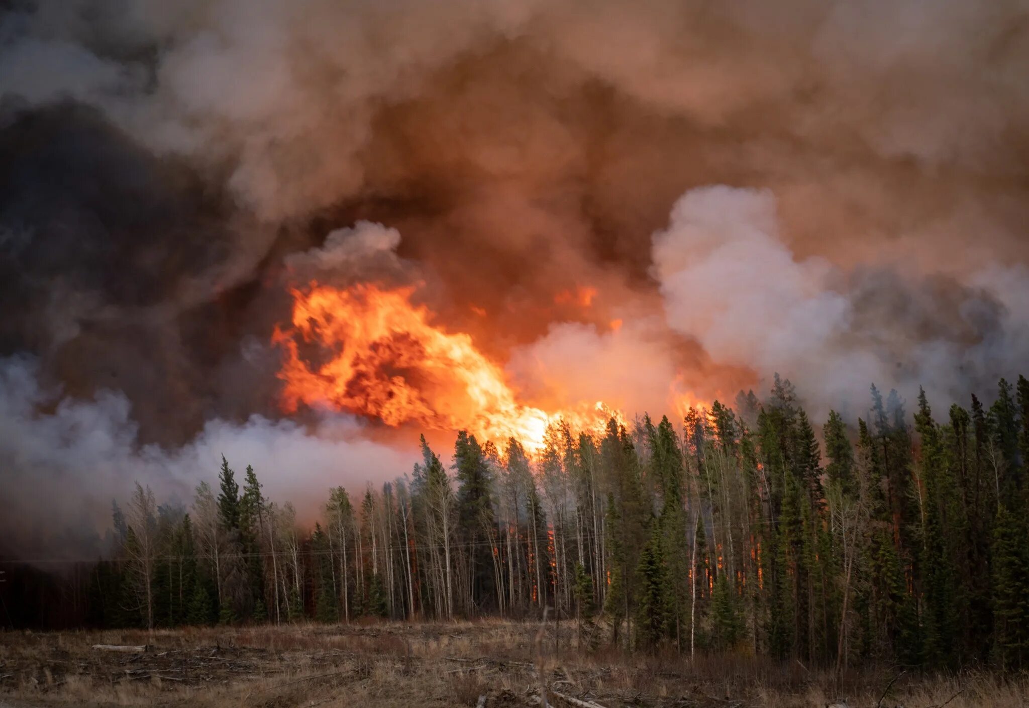 Почему много пожаров. Пожар в лесу. Природные пожары. Большой Лесной пожар. Лесные пожары в России.