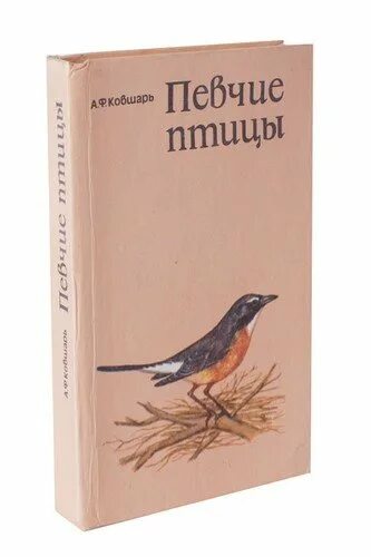 Энциклопедия певчие птицы. Певчие птицы звуковая энциклопедия. Симкин певчие птицы. Эксмо певчие птицы со звуковым модулем. Большая иллюстрированная энциклопедия птицы книга.